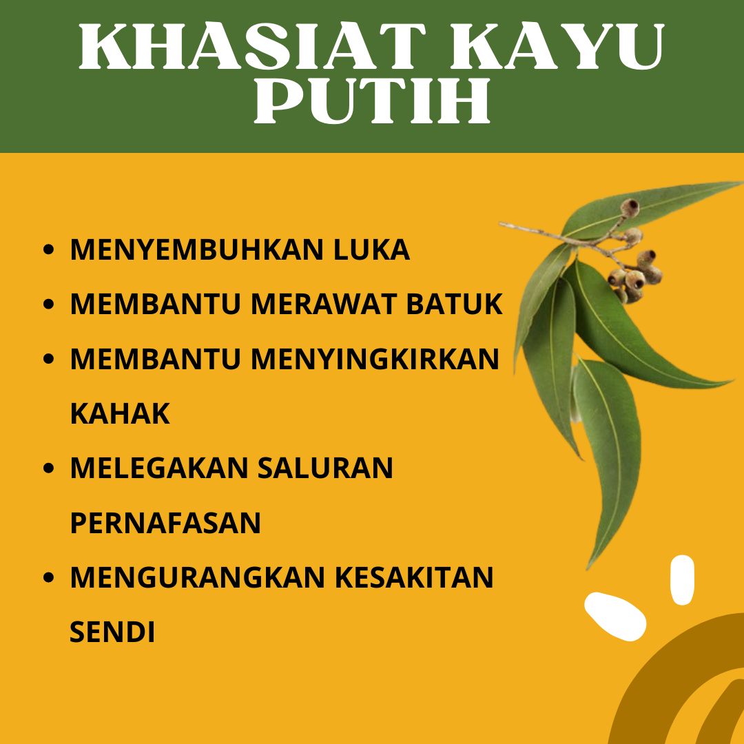 093440d9-d873-4840-8a9a-b75cb79c0db6-1.jpg 093440d9-d873-4840-8a9a-b75cb79c0db6-1.jpg